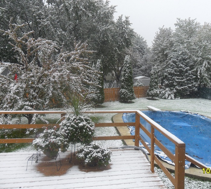 Нажмите на изображение для увеличения.

Название:	4-й сезон.jpg
Просмотров:	1
Размер:	326.5 Кб
ID:	10155911