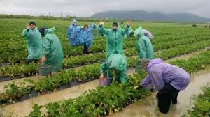 Нажмите на изображение для увеличения.

Название:	польша strana ua.jpg
Просмотров:	1
Размер:	10.6 Кб
ID:	10156153