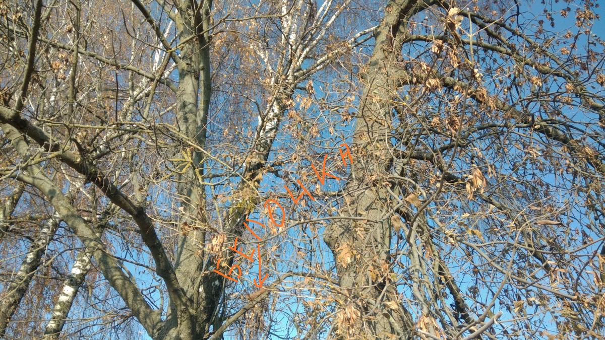 Нажмите на изображение для увеличения.

Название:	IMG_20211101_135748.jpg
Просмотров:	1
Размер:	271.1 Кб
ID:	10156793