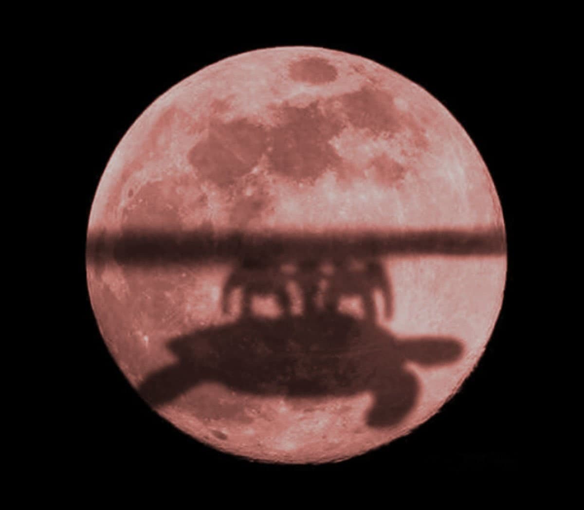 Нажмите на изображение для увеличения.

Название:	photo_2021-11-16_08-50-07.jpg
Просмотров:	1
Размер:	38.3 Кб
ID:	10156921