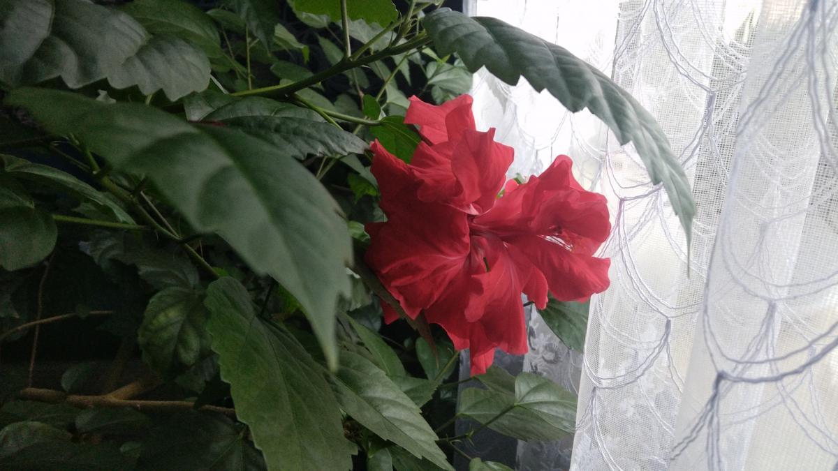 Нажмите на изображение для увеличения.

Название:	IMG_20211201_092725.jpg
Просмотров:	1
Размер:	102.2 Кб
ID:	10157031