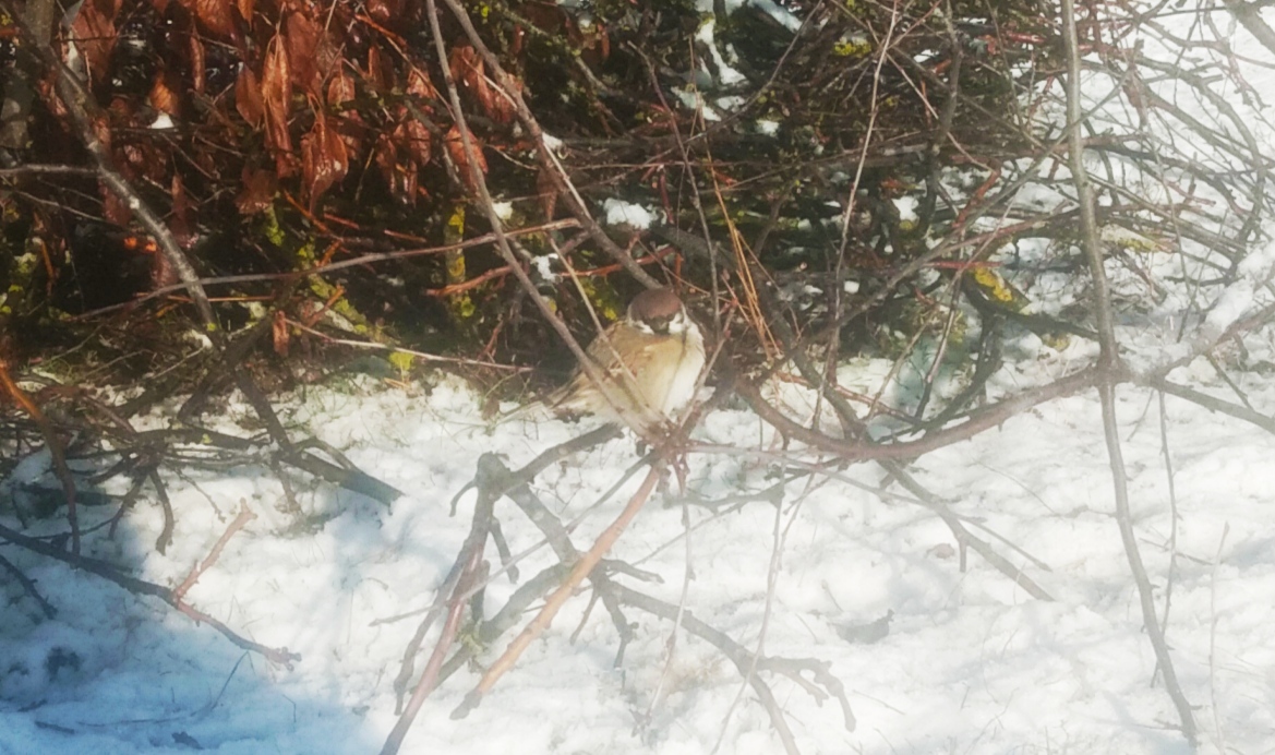 Нажмите на изображение для увеличения.

Название:	IMG_20211201_124826.jpg
Просмотров:	1
Размер:	347.4 Кб
ID:	10157037