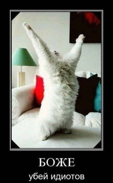 Нажмите на изображение для увеличения.

Название:	12439036_723799704421250_6288619592291756963_n.jpg
Просмотров:	1
Размер:	23.0 Кб
ID:	10157316