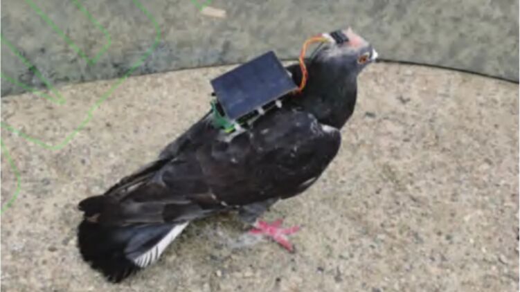 Нажмите на изображение для увеличения.

Название:	kitajskie-uchenye-sdelali-79_main.jpeg
Просмотров:	1
Размер:	39.6 Кб
ID:	10166036