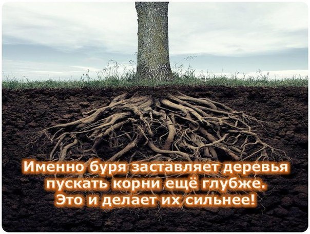 Нажмите на изображение для увеличения.

Название:	DN6RDyCR3s4.jpg
Просмотров:	2
Размер:	89.2 Кб
ID:	10137851