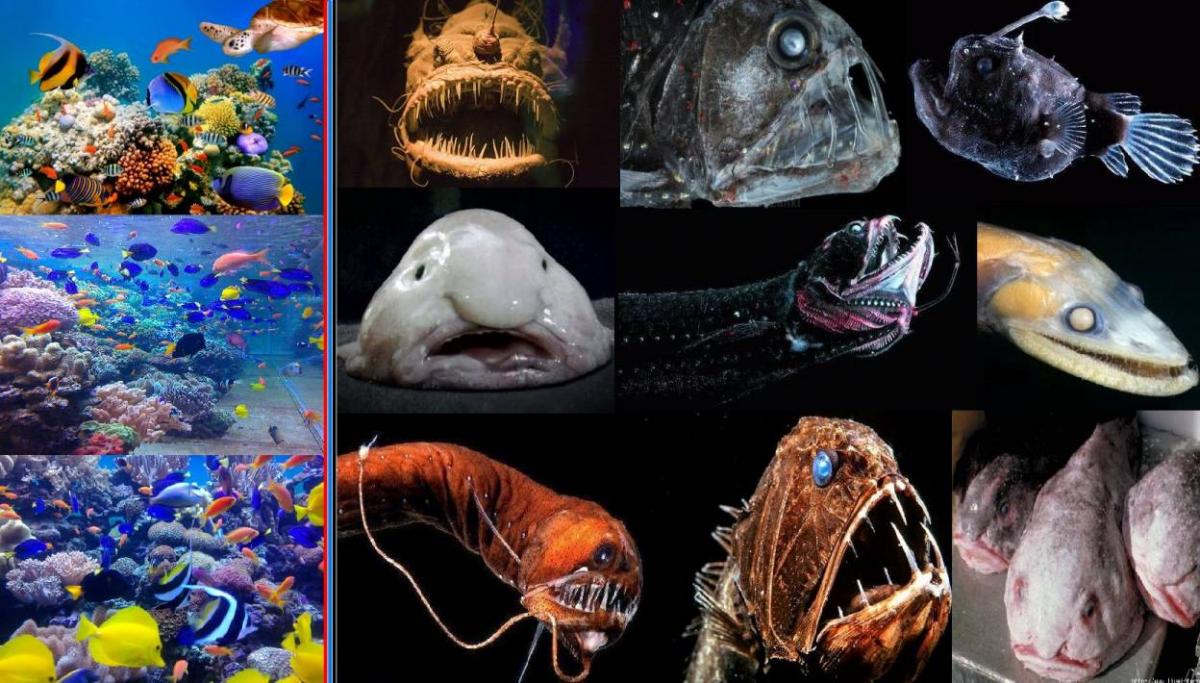 Нажмите на изображение для увеличения.

Название:	978.jpg
Просмотров:	1
Размер:	143.9 Кб
ID:	10626165