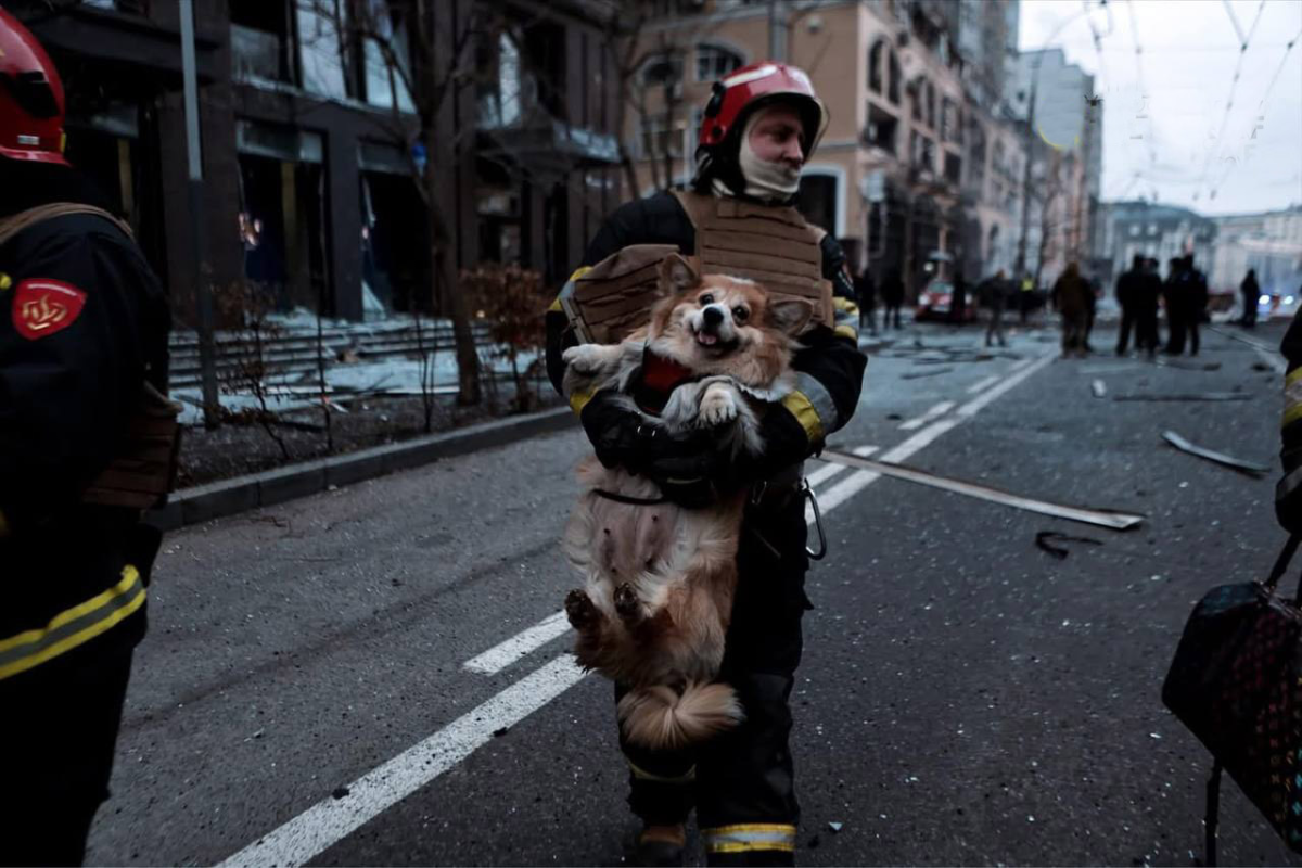 Нажмите на изображение для увеличения.

Название:	image.png
Просмотров:	74
Размер:	1,009.3 Кб
ID:	10628465