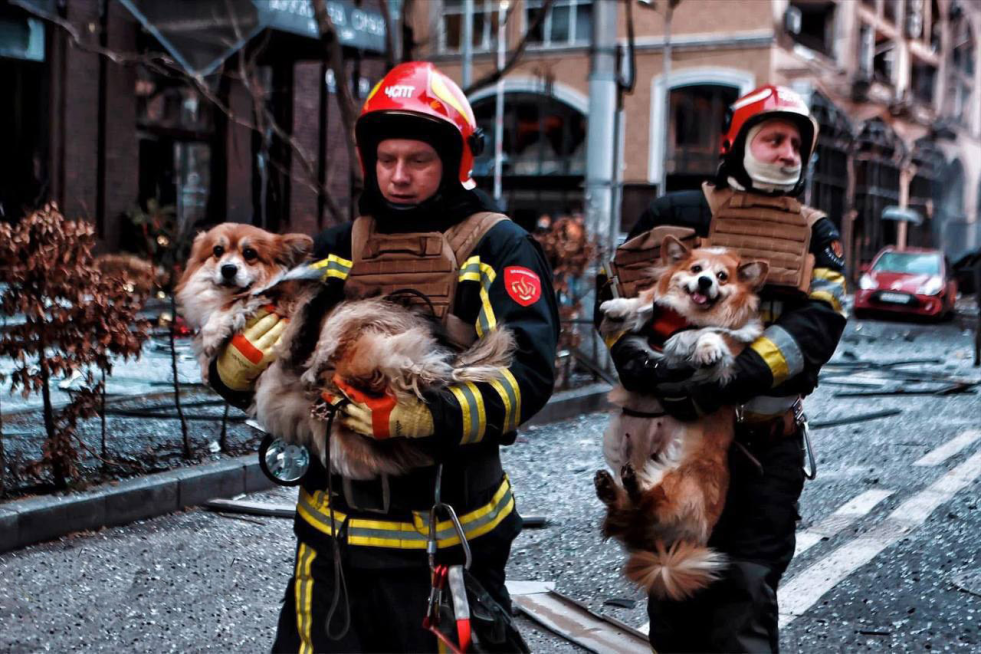 Нажмите на изображение для увеличения.

Название:	image.png
Просмотров:	76
Размер:	1.09 Мб
ID:	10628468