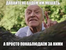 Нажмите на изображение для увеличения.  Название:	images?q=tbn:ANd9GcQYzfXC1ZLvCUkAsBN-Rsd_24KOuIb1R1MVYQ&amp;s.jpg Просмотров:	0 Размер:	16.3 Кб ID:	10630640