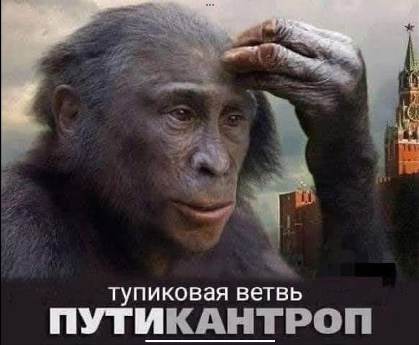 Нажмите на изображение для увеличения.

Название:	A3251504-CA6F-409B-A432-7AB2755C146D.jpg
Просмотров:	44
Размер:	106.6 Кб
ID:	10661530