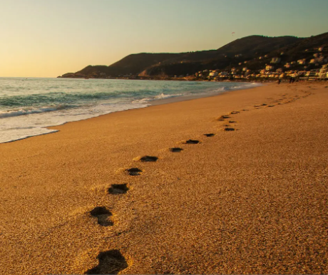 Нажмите на изображение для увеличения.

Название:	image.png
Просмотров:	40
Размер:	325.6 Кб
ID:	10636027