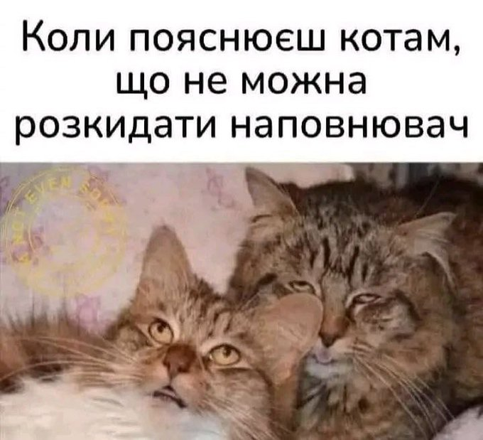 Нажмите на изображение для увеличения.

Название:	image.png
Просмотров:	15
Размер:	420.7 Кб
ID:	10639111