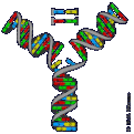 Нажмите на изображение для увеличения.

Название:	NEPHILIM%u00252BDNA.gif
Просмотров:	1
Размер:	132.7 Кб
ID:	10147006