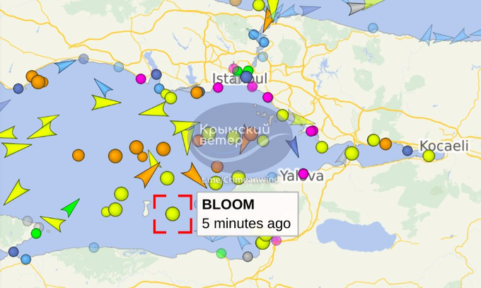 Нажмите на изображение для увеличения.

Название:	image.png
Просмотров:	39
Размер:	370.9 Кб
ID:	10639757