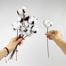 Нажмите на изображение для увеличения.

Название:	277D47C8-5B41-470F-9E71-D94F33F6220A.jpg
Просмотров:	0
Размер:	9.4 Кб
ID:	10759172