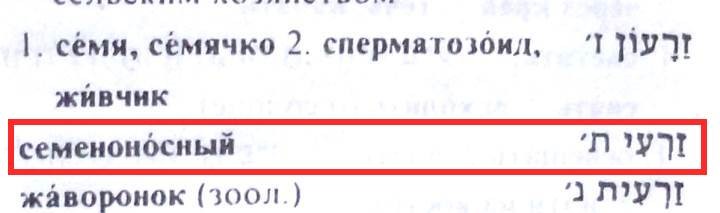 Нажмите на изображение для увеличения.  Название:	seed-bearing2.jpg Просмотров:	0 Размер:	27.3 Кб ID:	10644064