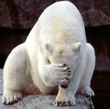 Нажмите на изображение для увеличения.

Название:	Медведю стыдно.jpg
Просмотров:	23
Размер:	12.8 Кб
ID:	10688559