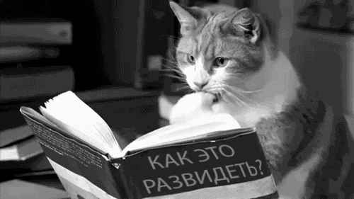 Нажмите на изображение для увеличения.

Название:	oRW0VF5.gif
Просмотров:	156
Размер:	459.4 Кб
ID:	10650448