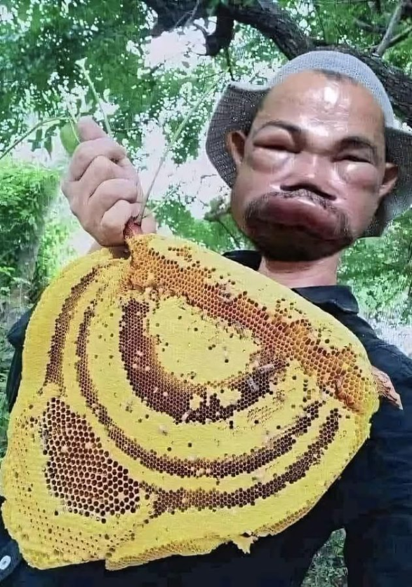 Нажмите на изображение для увеличения.

Название:	image.png
Просмотров:	28
Размер:	992.3 Кб
ID:	10650828