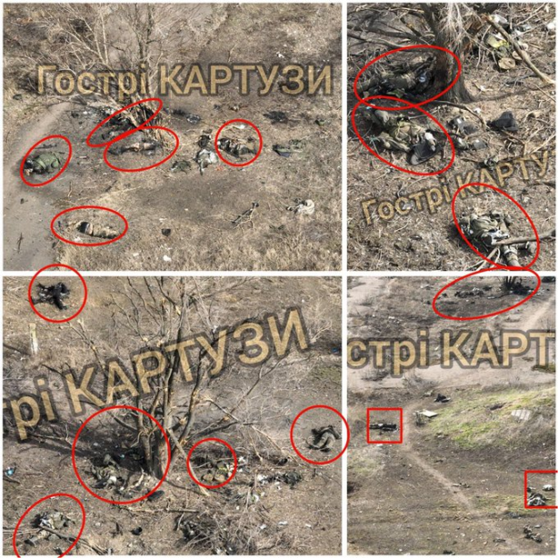 Нажмите на изображение для увеличения.

Название:	image.png
Просмотров:	24
Размер:	931.0 Кб
ID:	10661037