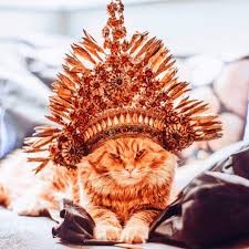 Нажмите на изображение для увеличения.

Название:	images?q=tbn:ANd9GcRlkMusDPesOWhmBNS48VSyLIL2xf4TqYL5KQ&amp;s.jpg
Просмотров:	37
Размер:	21.0 Кб
ID:	10664979