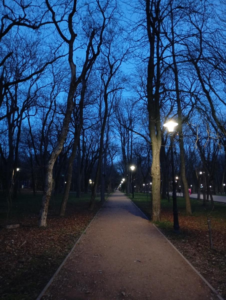 Нажмите на изображение для увеличения.

Название:	IMG_20250324_184626.jpg
Просмотров:	38
Размер:	202.1 Кб
ID:	10667784