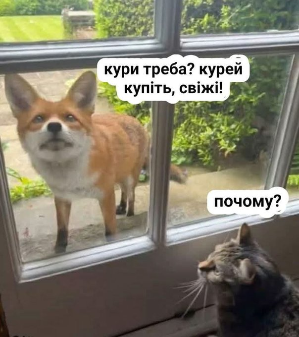 Нажмите на изображение для увеличения.

Название:	image.png
Просмотров:	24
Размер:	476.4 Кб
ID:	10677649