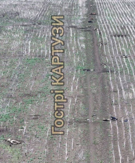 Нажмите на изображение для увеличения.

Название:	image.png
Просмотров:	15
Размер:	734.4 Кб
ID:	10680042