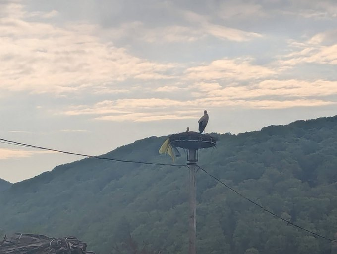 Нажмите на изображение для увеличения.

Название:	image.png
Просмотров:	29
Размер:	304.1 Кб
ID:	10680678