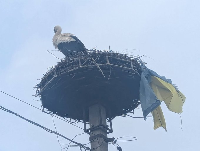 Нажмите на изображение для увеличения.

Название:	image.png
Просмотров:	29
Размер:	264.8 Кб
ID:	10680679