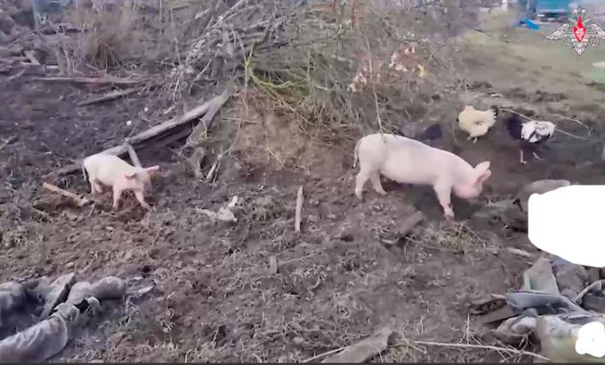 Нажмите на изображение для увеличения.

Название:	image.png
Просмотров:	31
Размер:	391.3 Кб
ID:	10682078