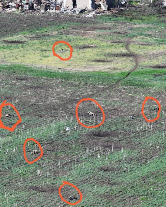 Нажмите на изображение для увеличения.

Название:	image.png
Просмотров:	35
Размер:	827.5 Кб
ID:	10682260