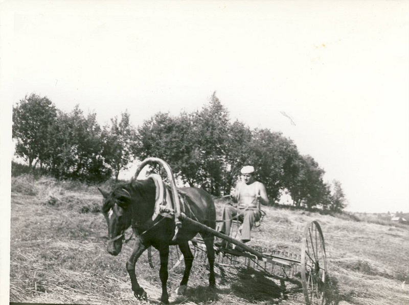 Нажмите на изображение для увеличения.

Название:	Лошадь 800.jpg
Просмотров:	1
Размер:	145.6 Кб
ID:	10157595