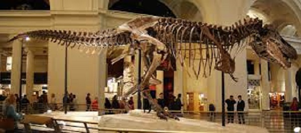 Нажмите на изображение для увеличения.

Название:	Rex.jpg
Просмотров:	1
Размер:	60.9 Кб
ID:	10157601