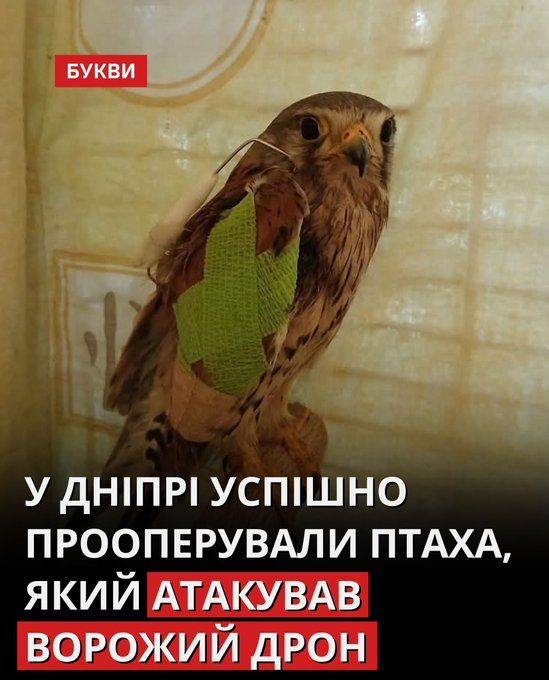 Нажмите на изображение для увеличения.

Название:	image.png
Просмотров:	54
Размер:	447.1 Кб
ID:	10705034