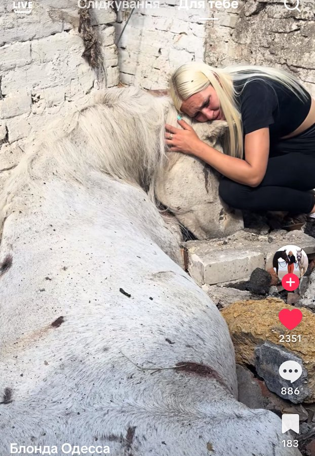 Нажмите на изображение для увеличения.  Название:	image.png Просмотров:	0 Размер:	922.9 Кб ID:	10706932