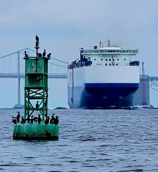 Нажмите на изображение для увеличения.

Название:	image.png
Просмотров:	32
Размер:	578.1 Кб
ID:	10707349