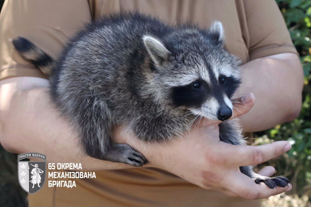 Нажмите на изображение для увеличения.

Название:	image.png
Просмотров:	64
Размер:	1.00 Мб
ID:	10709832