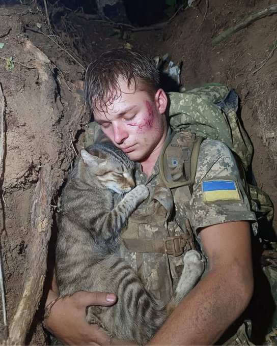 Нажмите на изображение для увеличения.

Название:	image.png
Просмотров:	49
Размер:	631.0 Кб
ID:	10712007