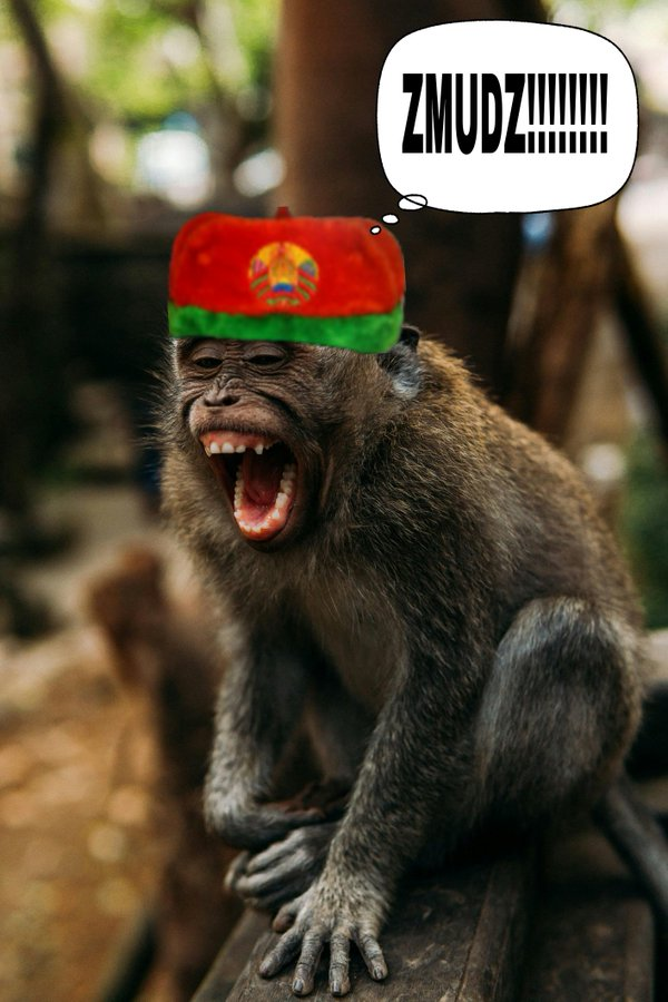 Нажмите на изображение для увеличения.

Название:	image.png
Просмотров:	28
Размер:	705.8 Кб
ID:	10712633