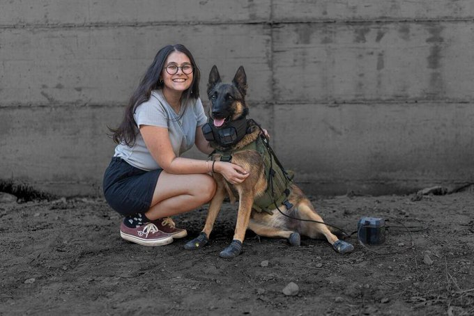 Нажмите на изображение для увеличения.

Название:	image.png
Просмотров:	29
Размер:	357.1 Кб
ID:	10720814