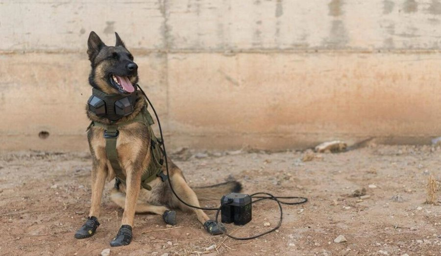 Нажмите на изображение для увеличения.

Название:	image.png
Просмотров:	26
Размер:	618.3 Кб
ID:	10720815