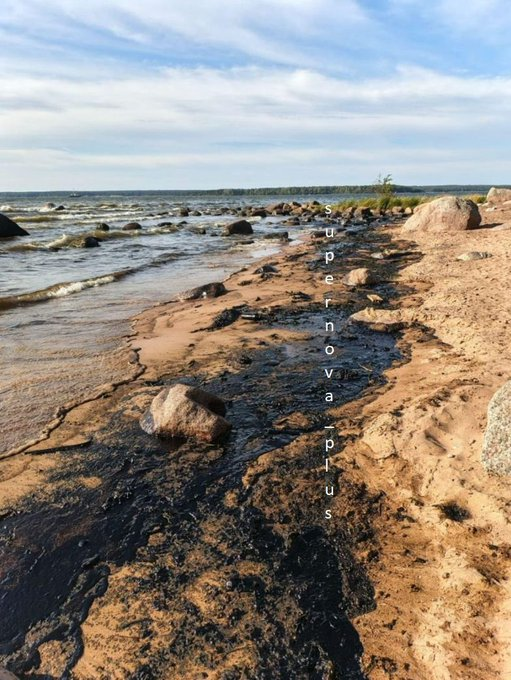 Нажмите на изображение для увеличения.

Название:	image.png
Просмотров:	36
Размер:	680.4 Кб
ID:	10727175