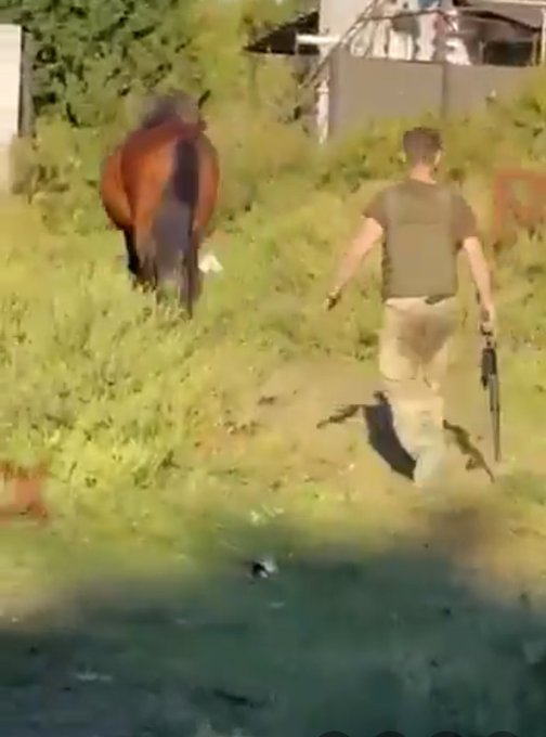 Нажмите на изображение для увеличения.

Название:	image.png
Просмотров:	32
Размер:	338.4 Кб
ID:	10728445