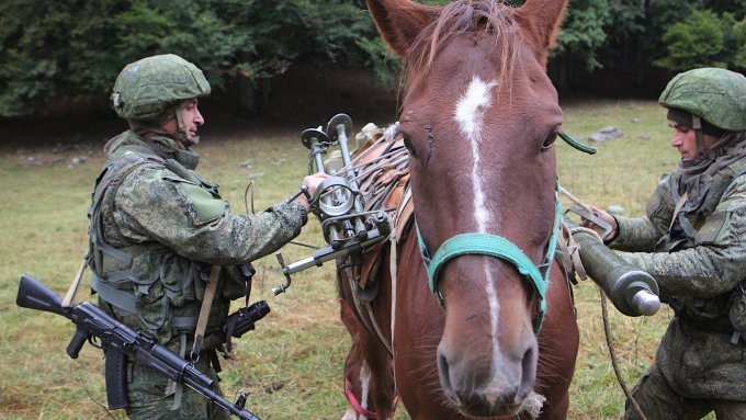 Нажмите на изображение для увеличения.

Название:	image.png
Просмотров:	37
Размер:	537.8 Кб
ID:	10733048