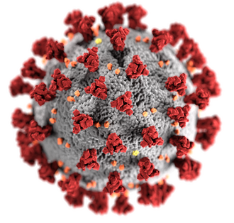Нажмите на изображение для увеличения.

Название:	SARS-CoV-2_(CDC-23312).png
Просмотров:	10
Размер:	166.7 Кб
ID:	10739560