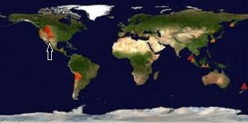 Нажмите на изображение для увеличения.  Название:	images.jpg Просмотров:	0 Размер:	17.5 Кб ID:	10740084