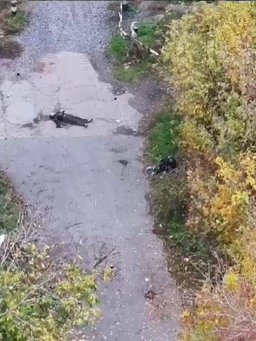 Нажмите на изображение для увеличения.

Название:	image.png
Просмотров:	25
Размер:	564.3 Кб
ID:	10740449