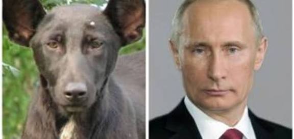Нажмите на изображение для увеличения.  Название:	IMG_5693.jpg Просмотров:	0 Размер:	23.3 Кб ID:	10740458