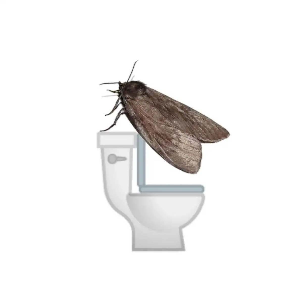 Нажмите на изображение для увеличения.

Название:	IMG_5953.jpg
Просмотров:	46
Размер:	58.9 Кб
ID:	10743531